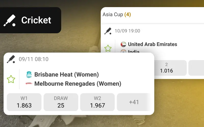 Bet on cricket now at Melbet.