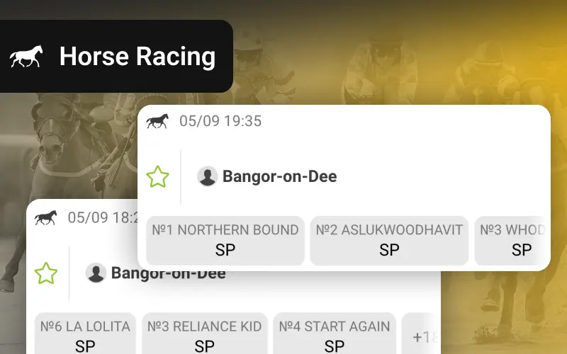 Bet on horse racing now at Melbet.