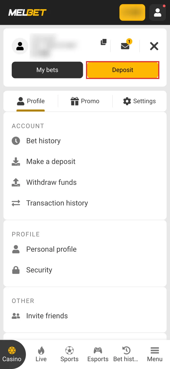 Go to the Melbet payment section to deposit money.